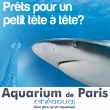 AQUARIUM DE PARIS - Billet Open 2012 @ Aquarium de Paris – Cinéaqua - Du 01 Janvier au 31 Décembre 2012 AQUARIUM DE PARIS - Billet Open 2012 @ Aquarium de Paris – Cinéaqua - Du 01 Janvier au 31 Décembre 2012