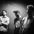 Stand High Patrol + Roots Atao