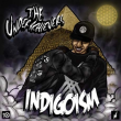 Concert THE UNDERACHIEVERS (Brainfeeder)