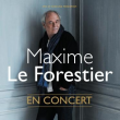 Maxime le forestier concert