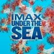 Under The Sea