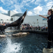 Que faire � BOULOGNE SUR MER