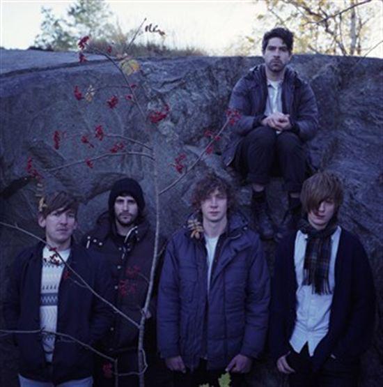 Foals Foals