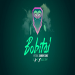 FESTIVAL BOBITAL - L�armor � sons 2013